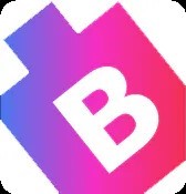 BitsWits-Logo-2-jpg
