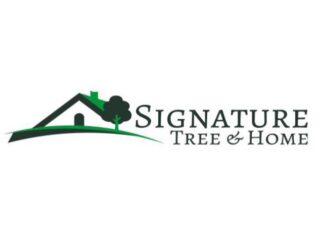 signaturetreelogo