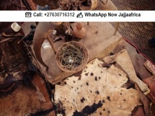 Best-Spiritual-and-Traditional-Healer-online