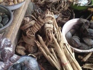 169043475_109525457908534_4011938350525850423_n