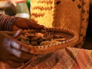49cdc-traditional-healer-featured