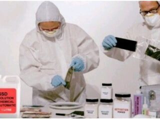 Screenshot_20240909-062229