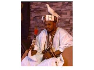 8460737916205-317×400-2